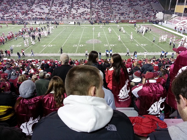 img3.webp